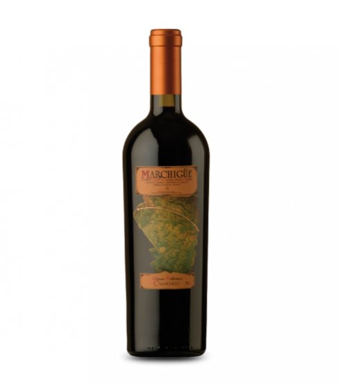 Botella-Mapa