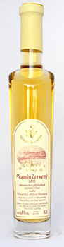 Botella-Mapa