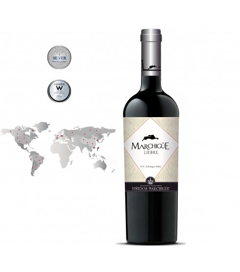 liebre_botella_formato_ok Botella-Mapa